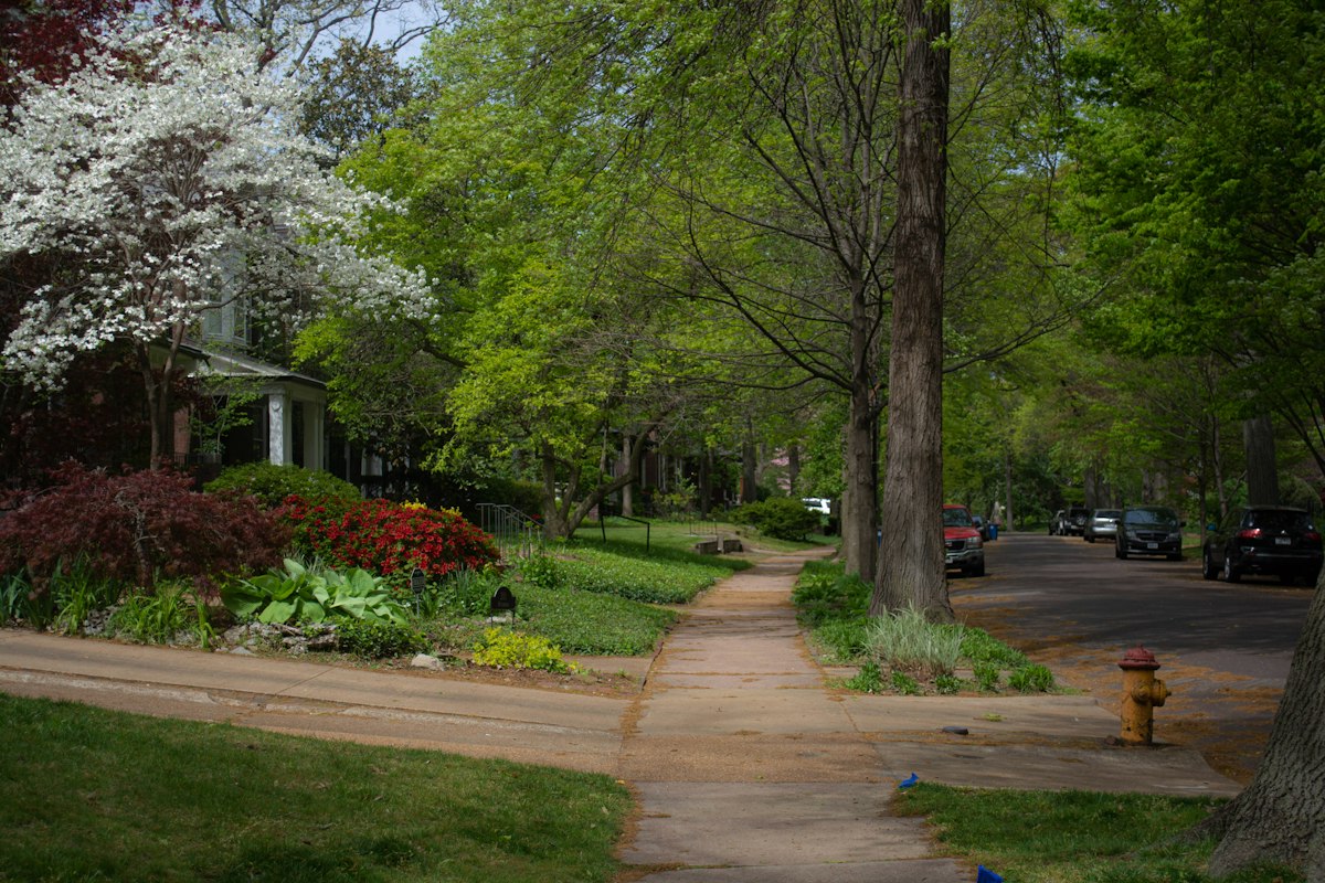 Tree-lined sidewalk in a San Antonio HOA neighborhood